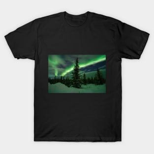 Aurora Majesty T-Shirt